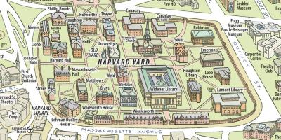Mappa dell'università di Harvard
